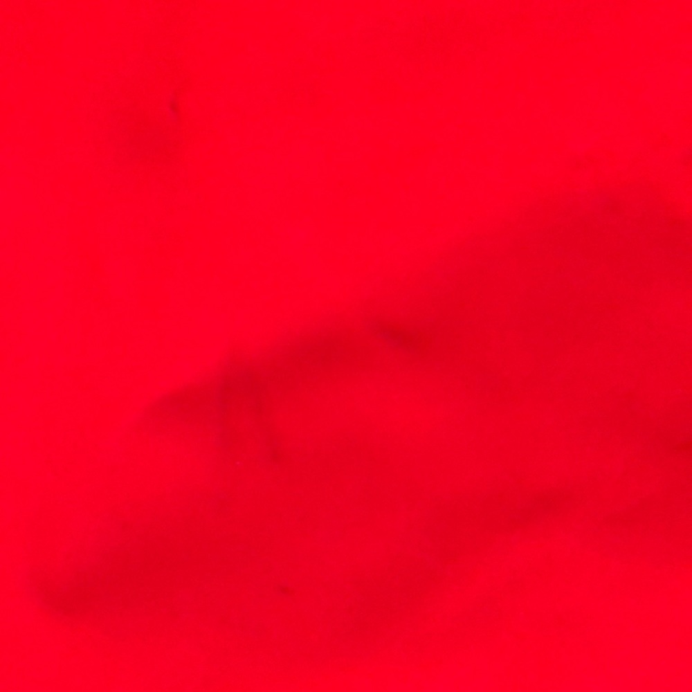 BCBG Bag - Picture 5 of 7